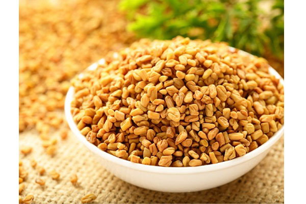 Fenugreek