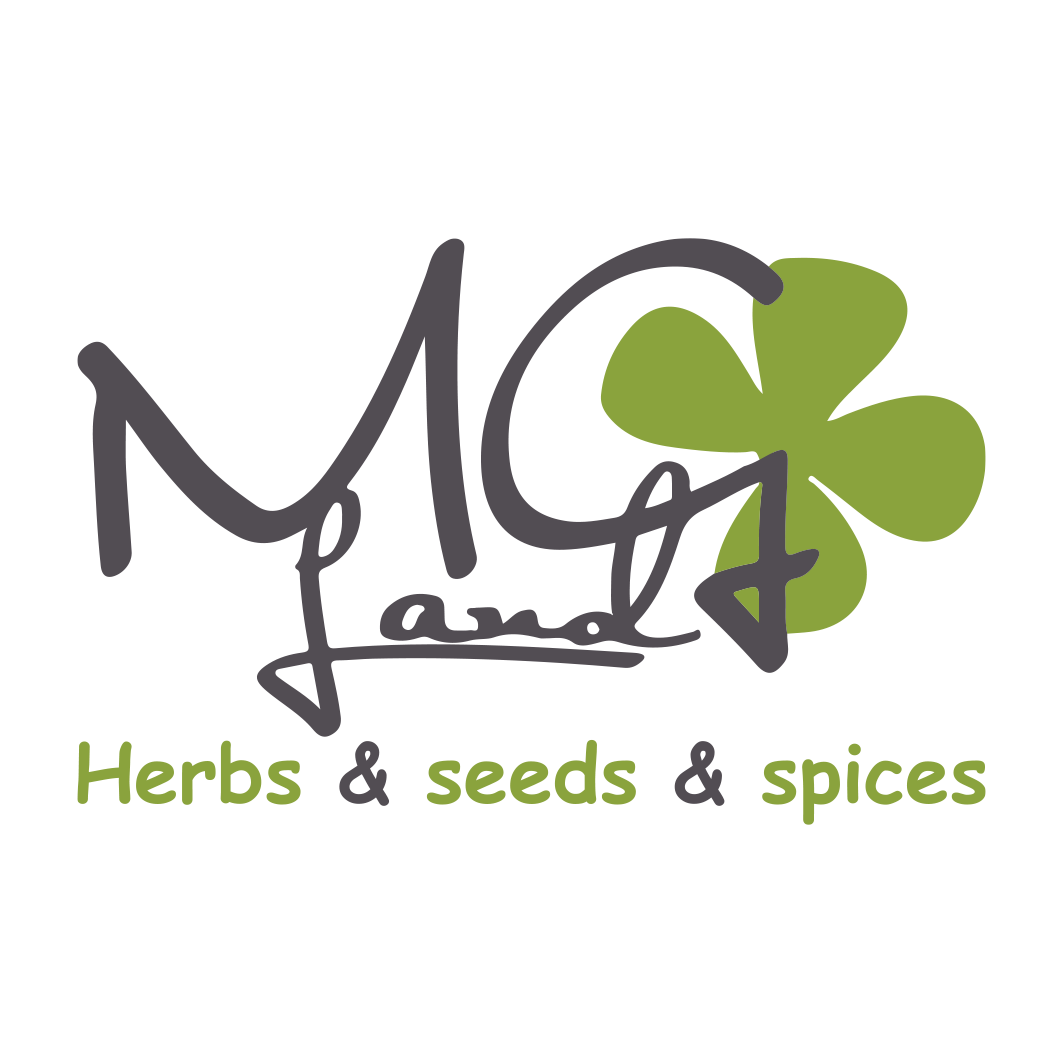 mg logo